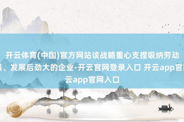 开云体育(中国)官方网站该战略重心支捏吸纳劳动才能强、发展后劲大的企业-开云官网登录入口 开云app官网入口