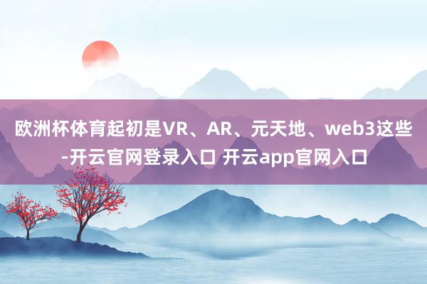 欧洲杯体育起初是VR、AR、元天地、web3这些-开云官网登录入口 开云app官网入口