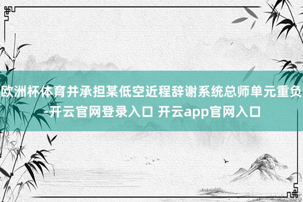 欧洲杯体育并承担某低空近程辞谢系统总师单元重负-开云官网登录入口 开云app官网入口