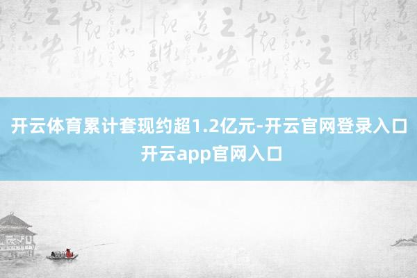 开云体育累计套现约超1.2亿元-开云官网登录入口 开云app官网入口