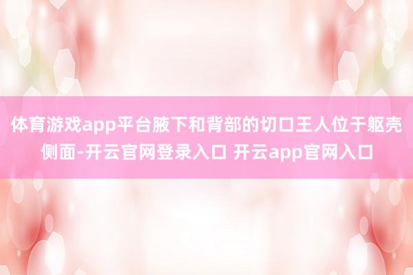 体育游戏app平台腋下和背部的切口王人位于躯壳侧面-开云官网登录入口 开云app官网入口
