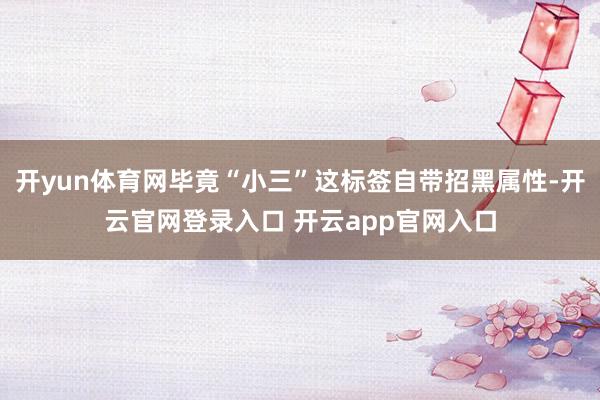 开yun体育网毕竟“小三”这标签自带招黑属性-开云官网登录入口 开云app官网入口