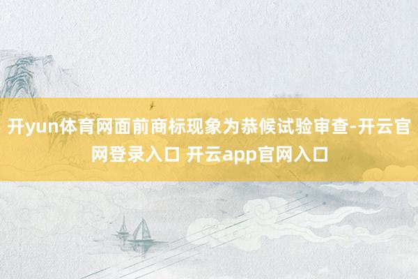 开yun体育网面前商标现象为恭候试验审查-开云官网登录入口 开云app官网入口