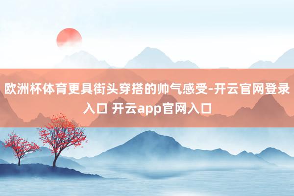 欧洲杯体育更具街头穿搭的帅气感受-开云官网登录入口 开云app官网入口