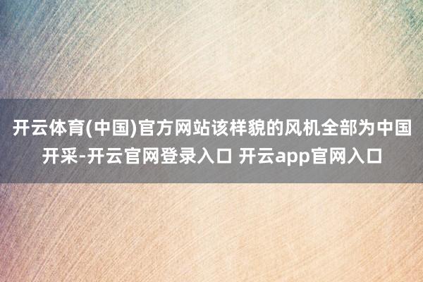 开云体育(中国)官方网站该样貌的风机全部为中国开采-开云官网登录入口 开云app官网入口