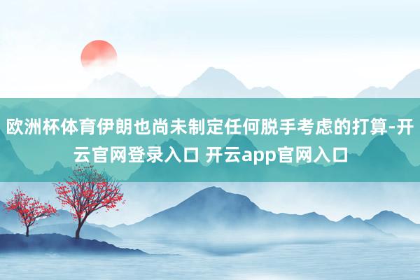 欧洲杯体育伊朗也尚未制定任何脱手考虑的打算-开云官网登录入口 开云app官网入口